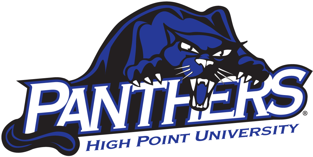 High Point Panthers 2004-Pres Alternate Logo v5 DIY iron on transfer (heat transfer)